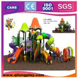 Wonderful Outdoor Playground (QL-5003B)