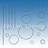 Oil Seal Spring