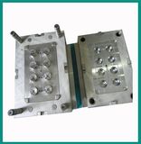 Plastic Parts Mould (xdd192)