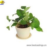 Hot Sale Eco-Friendly Colorful Plastic Planter