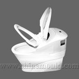 Toilet Mould-4