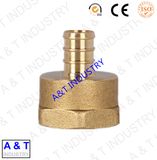 High Quality Brass Insert, PPR Brass Fitting