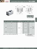 Locking Block with Angular Pins Hole (XZD03)