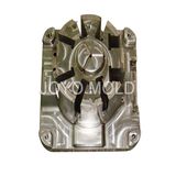 Mould (DSC05768)