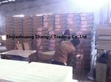 Shijiazhuang Shengyi Trading Co., Ltd.