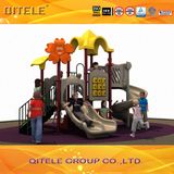 Hawaii Series Kids Outdoor Amusement Park Playground Equipment (2014CL-17201)