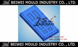 FRP High Quality SMC Door Skin Mould