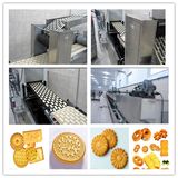 Biscuit Cutting Machine