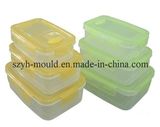 Plastic Thin Wall Multi Cavity Mould