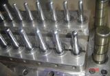 Precision Plastic Mould (5022)