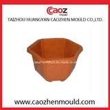 Competitive Price/Plastic Injection Flower Pot Mould