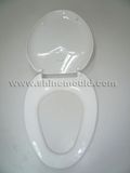 Toilet Mould