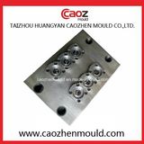 High Quality Plastic Gar Preform Mould in China