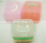 Plastic Thin Wall Multi Cavity Mould