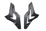 Carbon Fiber Side Panels for BMW S1000r 2014