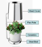 Indoor Hydroponics Garden