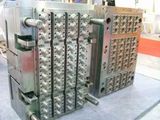 Precision Injection Mould/Mold/Moulding