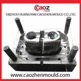 Two Cavity/Unique Plastic Injection Dustbin Mould