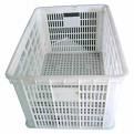 Crate Mould