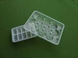 Plastic Mold/Plastic Ice Cream Mold