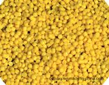 Colorfull Polypropylene Reclycled PP Granules/ Virgin PP Granules