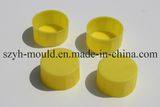 Plastic Injection End Cap Closure Mould