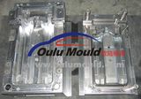 Auto Interior Parts Mould 13