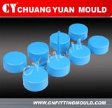 PPR End Cap Fitting Mould