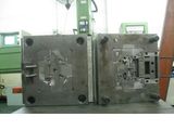 Precison Plastic Mould (PK008)