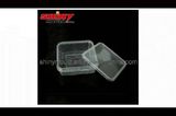 Plastic Square Clear Container Mould