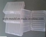 Plastic Packaging Multi Cavity Mould