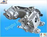 4 Stroke Motorcycle Engine Parts (HX10025)