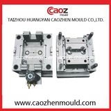 High Quality/Plastic Precision Cap Mould