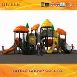 Kids Amusement Park Outdoor Playground Equipment (2014WPII-09301)