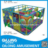 Funny Style Indoor Playground, Playground (QL-3056D)