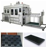 Plastic Seeding Tray Vacuum Forming Machine