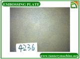 Embossed Stainless Steel Plate for Decorative