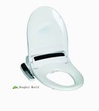 Toilet Seat Mould