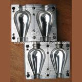 Various Kind of Plastic Blow Bottle Mold/Mould