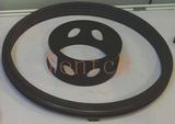 Pi Ring & Bushing