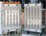 Pet Preform Mold