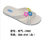 PVC Airblow-Shoes Mould (1002)