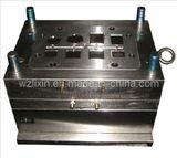 Plastic Injection Mould (ZC9L09M01D)