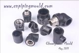 PE Pipe Fitting Mould