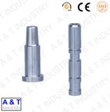 Surpass Precision Mould Parts SKD-11 Punches Die Part