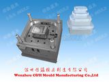 Plastic Injection Crisper Mould for Injection Plastic Box