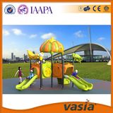 Outdoor Playground Equipment for Children with SGS CE