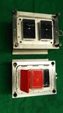 2 Cavity Pet Packing Boxes Mould
