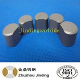 Tungsten Carbide Nail Mould