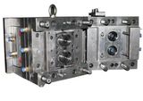 China Professional High Precision Plastic Injection Mould (WBM-201301)